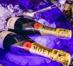 Vienna VIP Clubbing